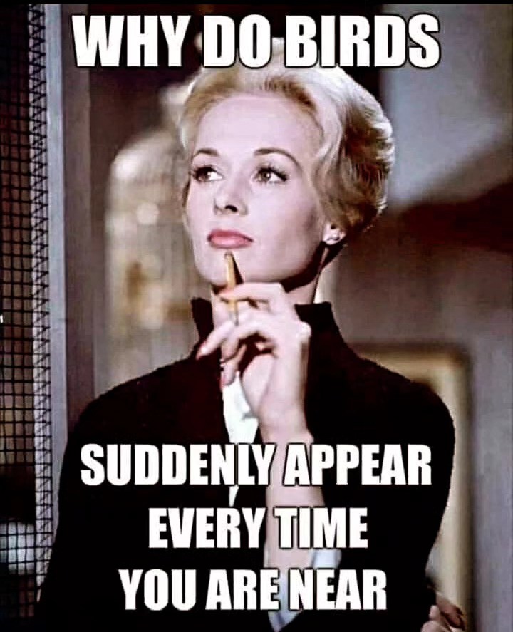 A Tip.....😜🧟‍♂️
#horror #horrorlove #horrorfan #horrormovie #horrormovies #horrorfan #horrorfilm #horrorclub #horrorart #horrorjunkie #horroraddict #horrornights #horrornerd #horrorpunk #horrorstory #