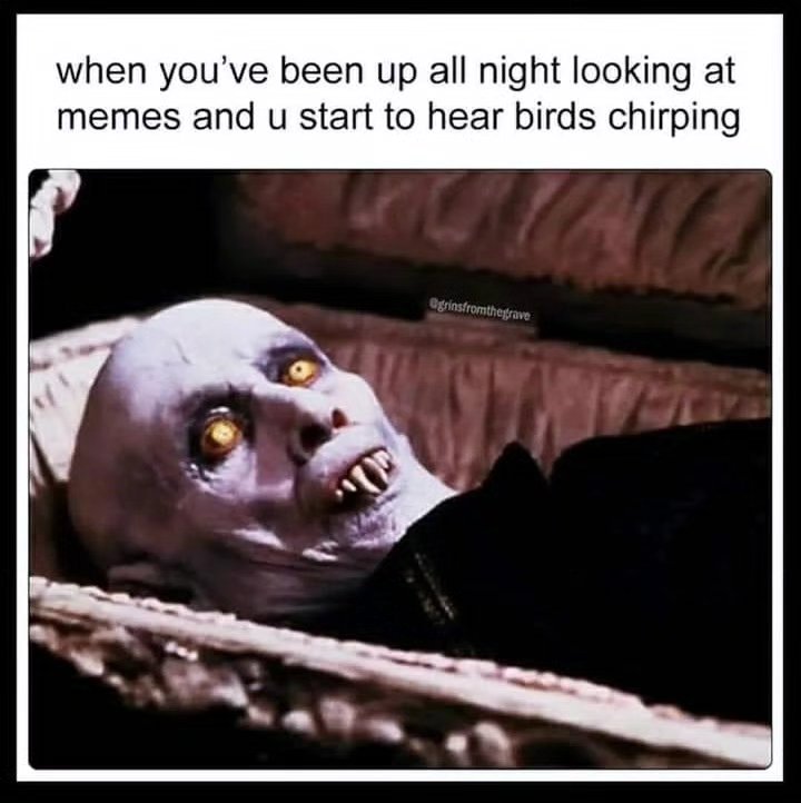 Oops 🤐🧟‍♂️
#horror #horrorlove #horrorfan #horrormovie #horrormovies #horrorfan #horrorfilm #horrorclub #horrorart #horrorjunkie #horroraddict #horrornights #horrornerd #horrorpunk #horrorstory #horro