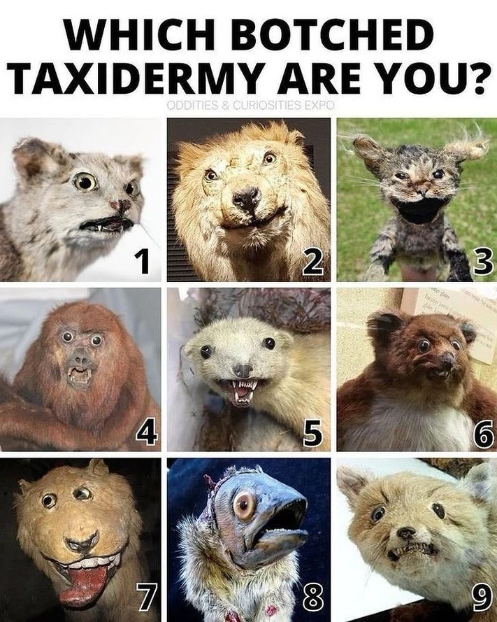 I like #5 🤣🧟‍♂️
#horror #horrorlove #horrorfan #horrormovie #horrormovies #horrorfan #horrorfilm #horrorclub #horrorart #horrorjunkie #horroraddict #horrornights #horrornerd #horrorpunk #horrorstory #