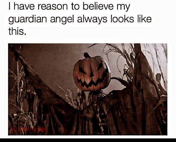 And very very busy.... 🤣
#horror #horrorlove #horrorfan #horrormovie #horrormovies #horrorfan #horrorfilm #horrorclub #horrorart #horrorjunkie #horroraddict #horrornights #horrornerd #horrorpunk #horr