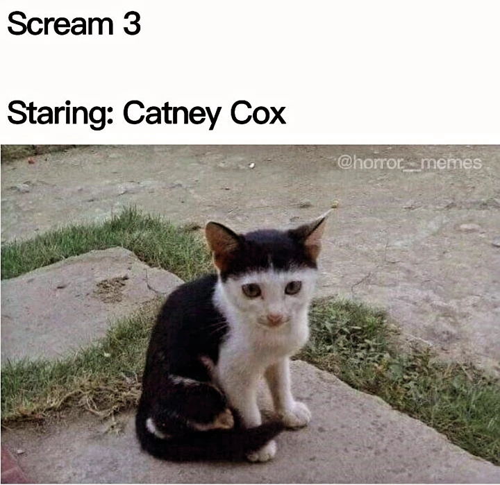 🤣🤣If you know... 🤣🤣
#horror #horrorlove #horrorfan #horrormovie #horrormovies #horrorfan #horrorfilm #horrorclub #horrorart #horrorjunkie #horroraddict #horrornights #horrornerd #horrorpunk #horrorsto